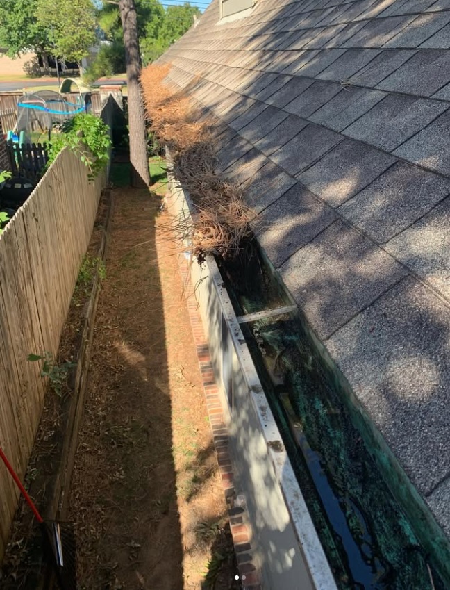 Gutter filled with pine needles and debris before cleaning